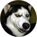 Doug Bolles profile picture